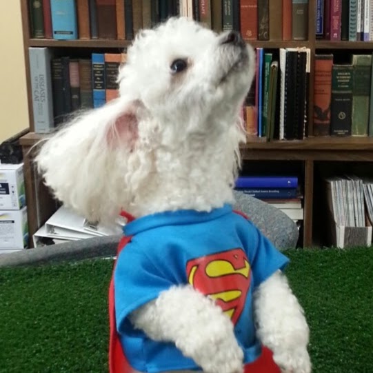 San Juan Animal Hospital - Jacksonville , United States