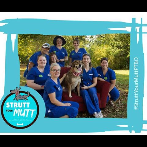 Sherbrooke Heights Animal Hospital - Peterborough , Canada