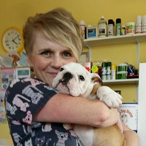 Vets And Pets - Bailieborough , Ireland