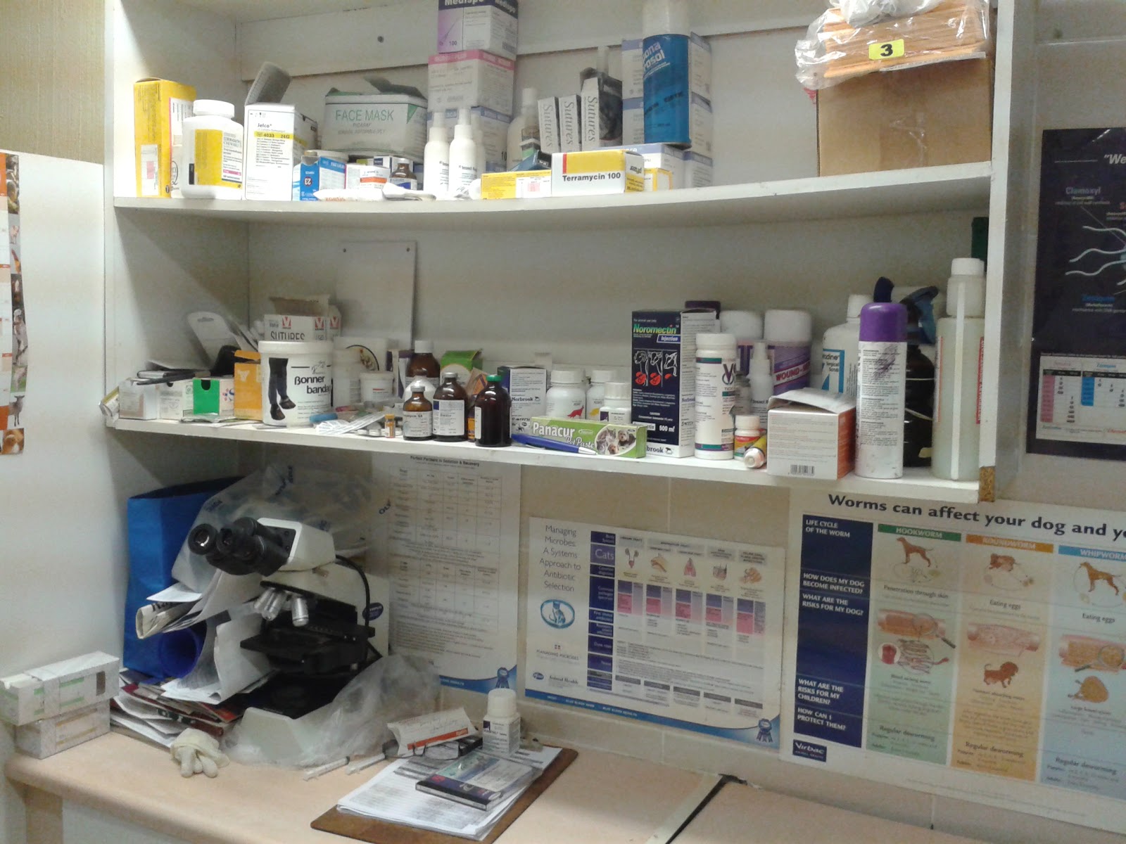 The Orchards Vet - Akasia , South Africa
