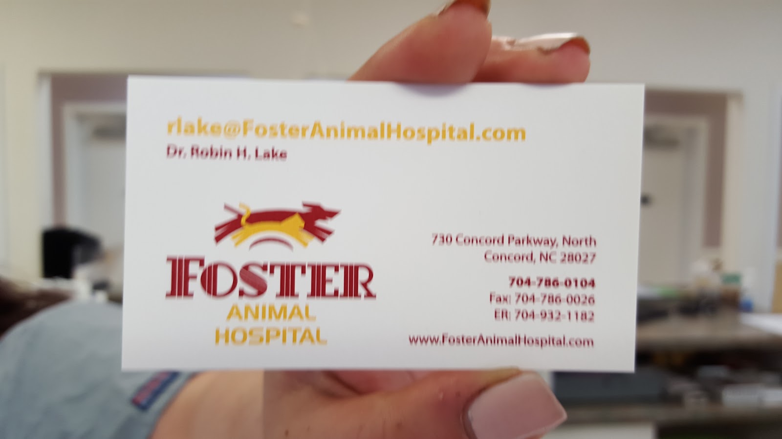Foster Animal Hospital P A - Concord , United States