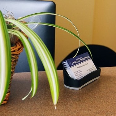 Centrepointe Animal Hospital - Nepean , Canada