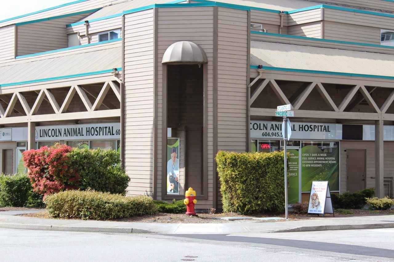 Lincoln Animal Hospital - Coquitlam , Canada