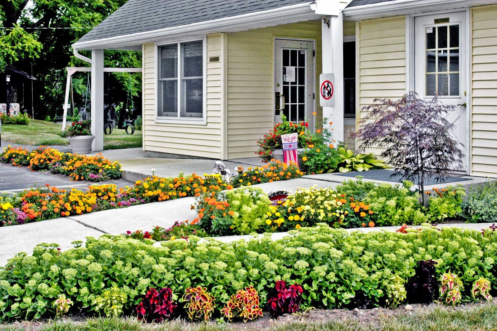 Dr. Carol L Geake - Northville , United States