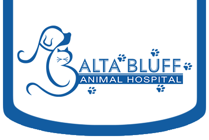 Alta Bluff Animal Hospital - Jacksonville , United States