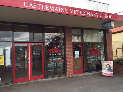 Castlemaine Veterinary Clinic - Castlemaine , Australia