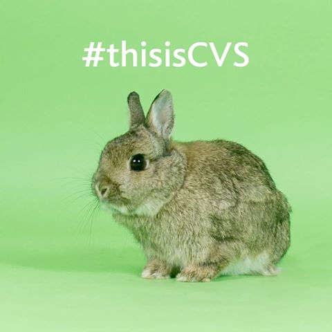 Fromus Veterinary Group Saxmundham - Saxmundham , United Kingdom