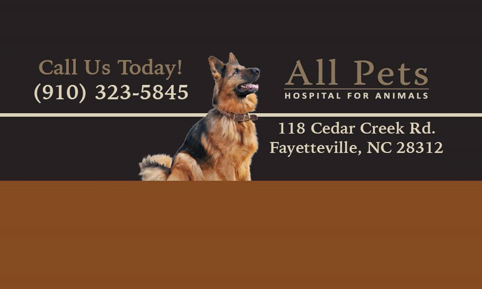 All Pet Hospital For Animals - Fayetteville , United States