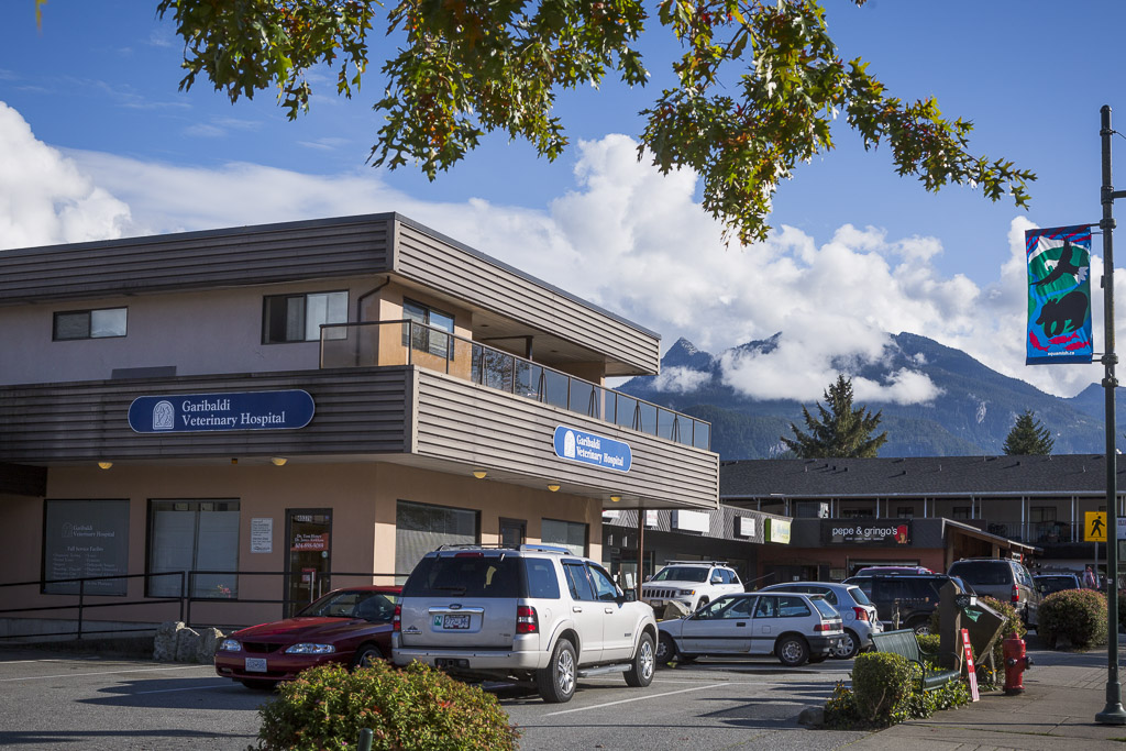 Garibaldi Veterinary Hospital - Garibaldi Highlands , Canada