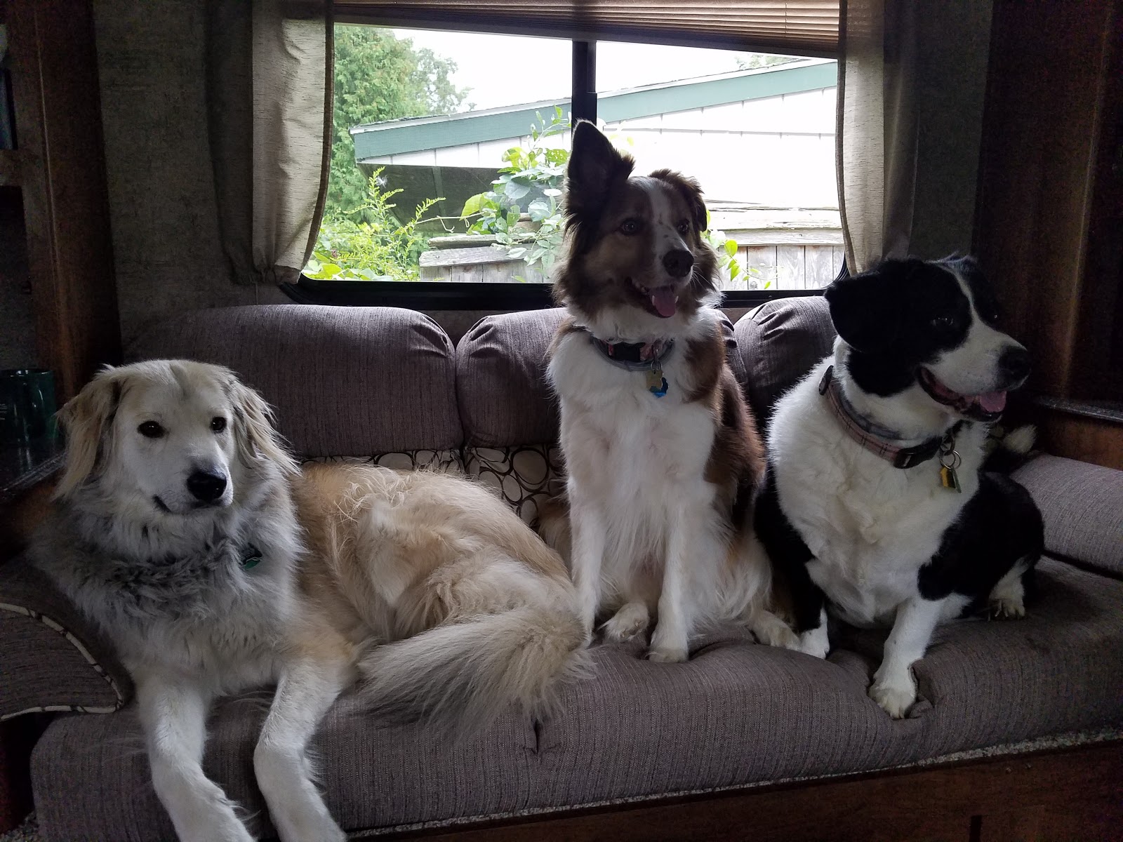 Acoaxet Veterinary Clinic - Westport , United States