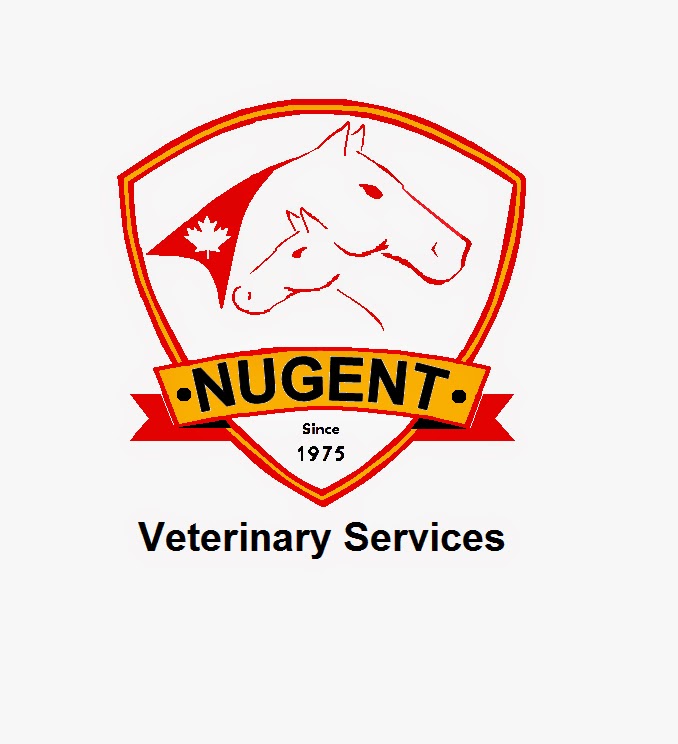 Nugent Veterinary Services - Welland , Canada