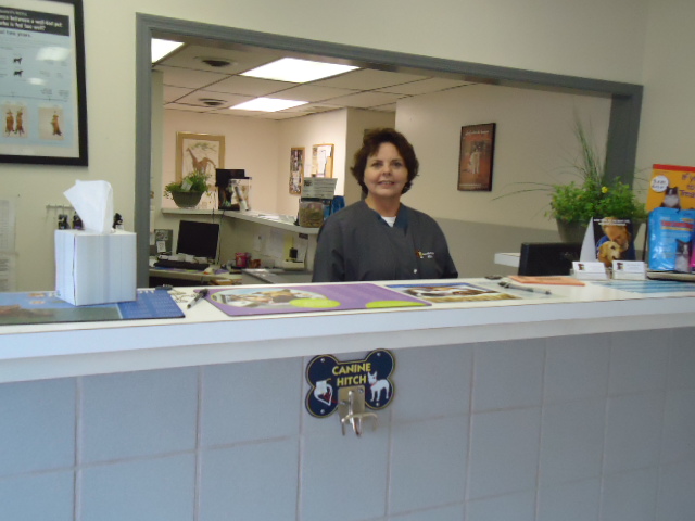 Seven Hills Pet Clinic - Loveland , United States