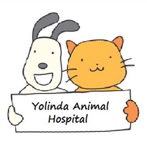 Yolinda Animal Hospital - Placentia , United States