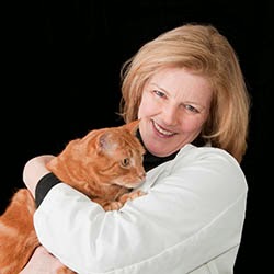 Southport Veterinary Center - Fairfield , United States