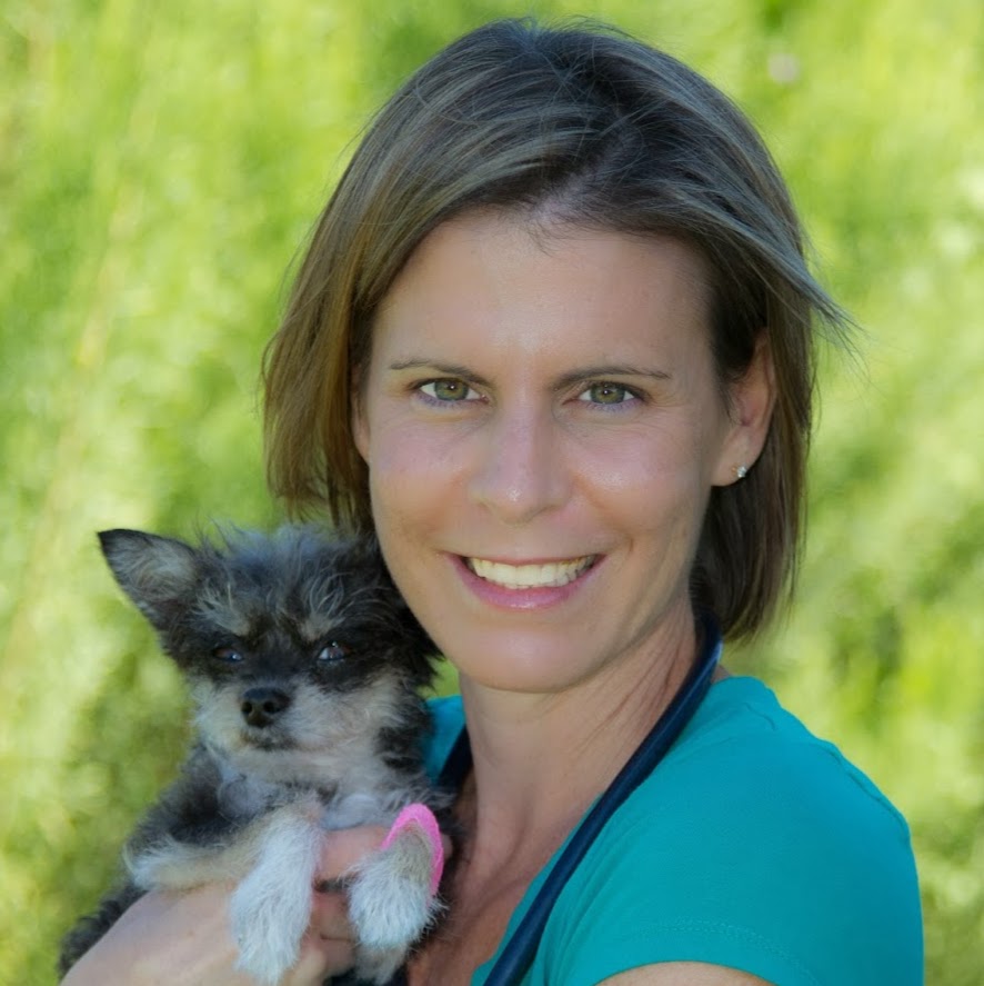 Good Water Animal Hospital - Georgetown , United States