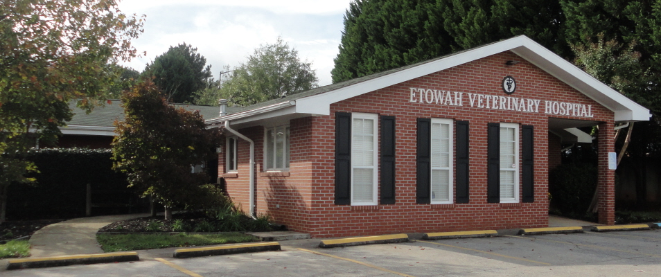 Etowah Veterinary Hospital - Marietta , United States