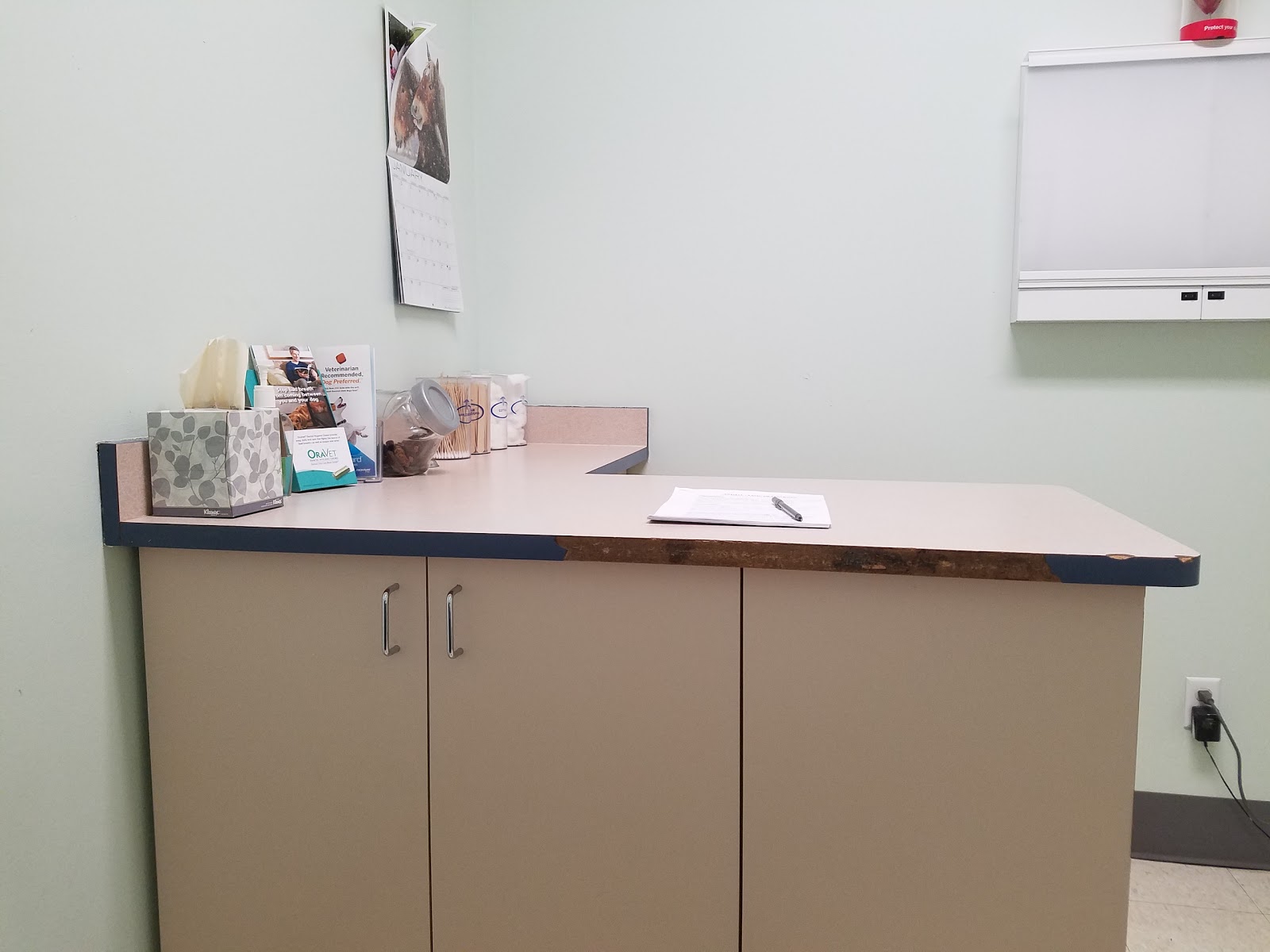 Animal Clinic Of Pinckney Plc - Pinckney , United States