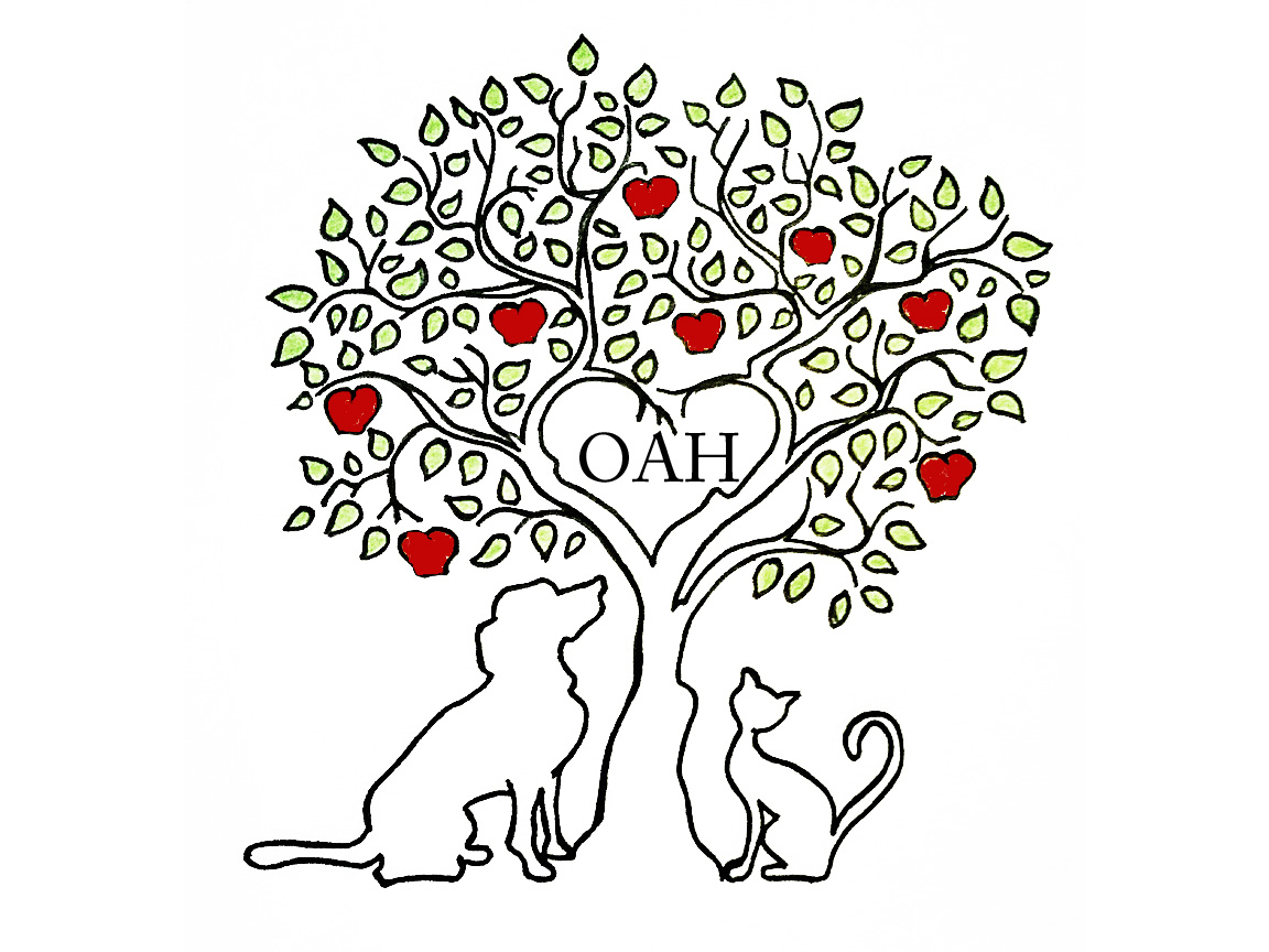 Orchard Animal Hospital - Burlington , Canada