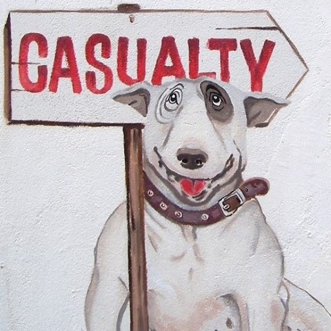 Kleinmond Animal Clinic - Kleinmond , South Africa