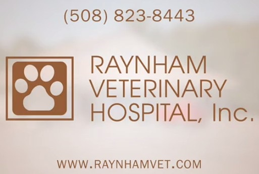 Raynham Veterinary Hospital - Raynham , United States