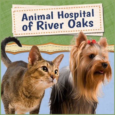 Animal Hospital Of River Oaks - Oakville , Canada