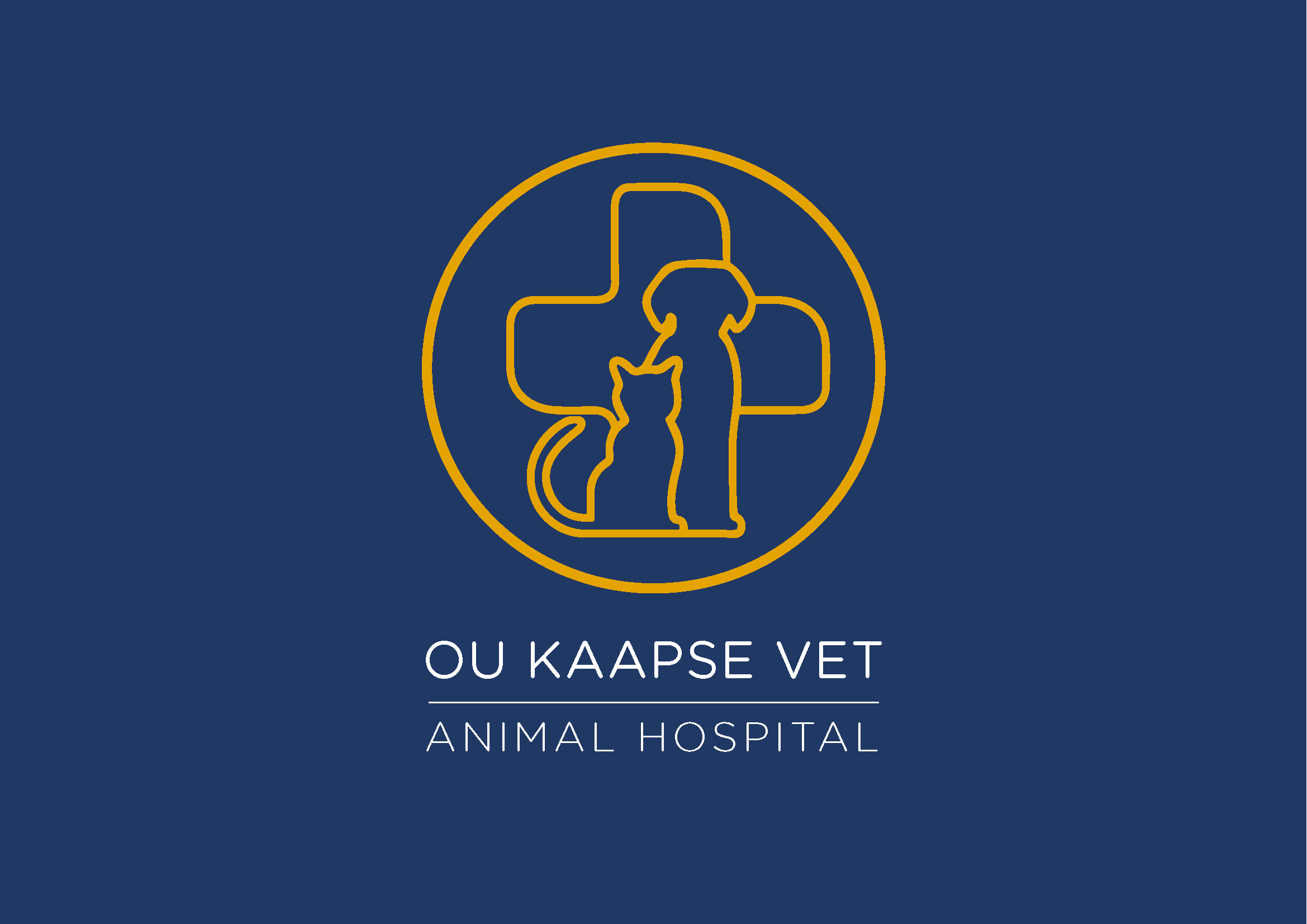 Ou Kaapse Vet - Cape Town , South Africa