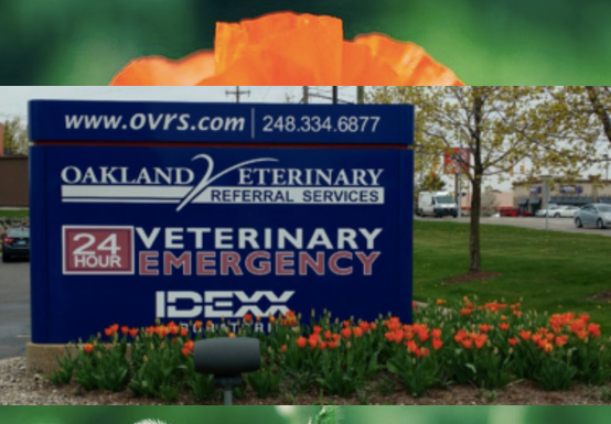 Oakland Veterinary Referral Services - Bloomfield Twp , United States