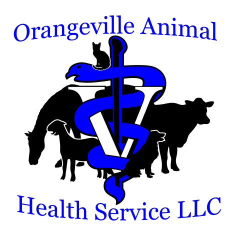 Orangeville Animal Health Service - Orangeville , United States