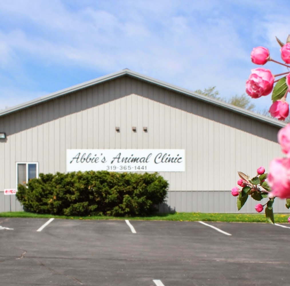 Abbie's Animal Clinic - Cedar Rapids , United States