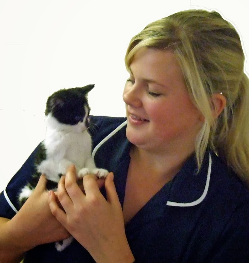 White House Vets - Malvern , United Kingdom