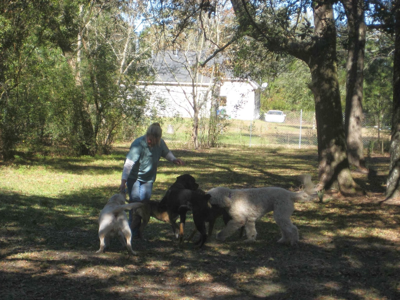 Madisonville Animal Hospital - Madisonville , United States