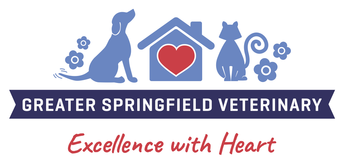 Greater Springfield Veterinary - Eden's Crossing Hospital - Redbank Plains , Australia