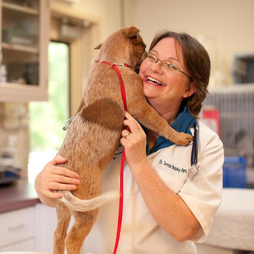 Belton Animal Clinic And Exotic Care Center - Belton , United States