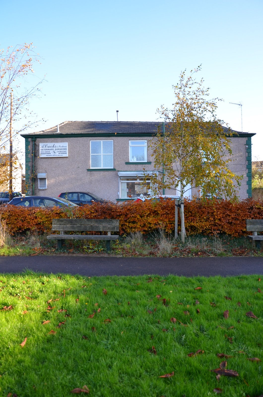 Springfield Veterinary Group Hackenthorpe - Sheffield , United Kingdom