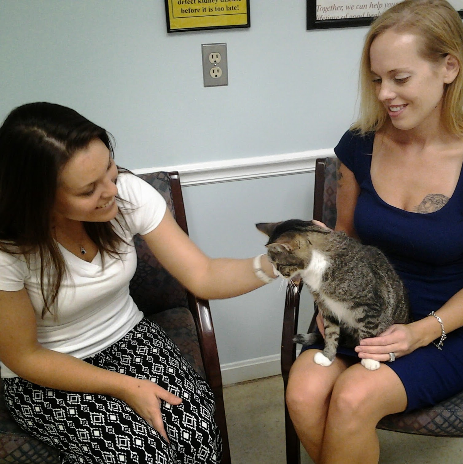 Countryside Animal Hospital: La Grange Veterinarian - La Grange , United States