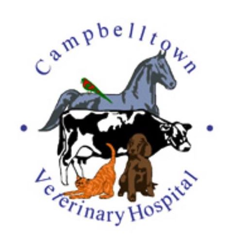 Campbelltown Veterinary Hospital - Campbelltown , Australia
