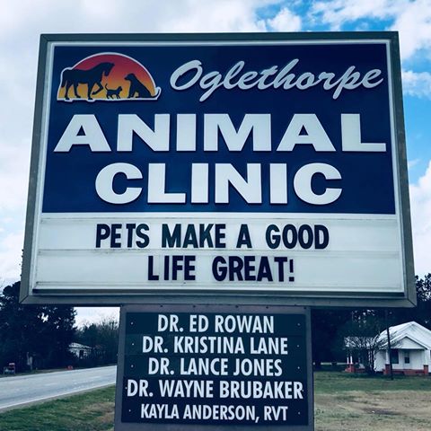 Oglethorpe Animal Clinic - Crawford , United States