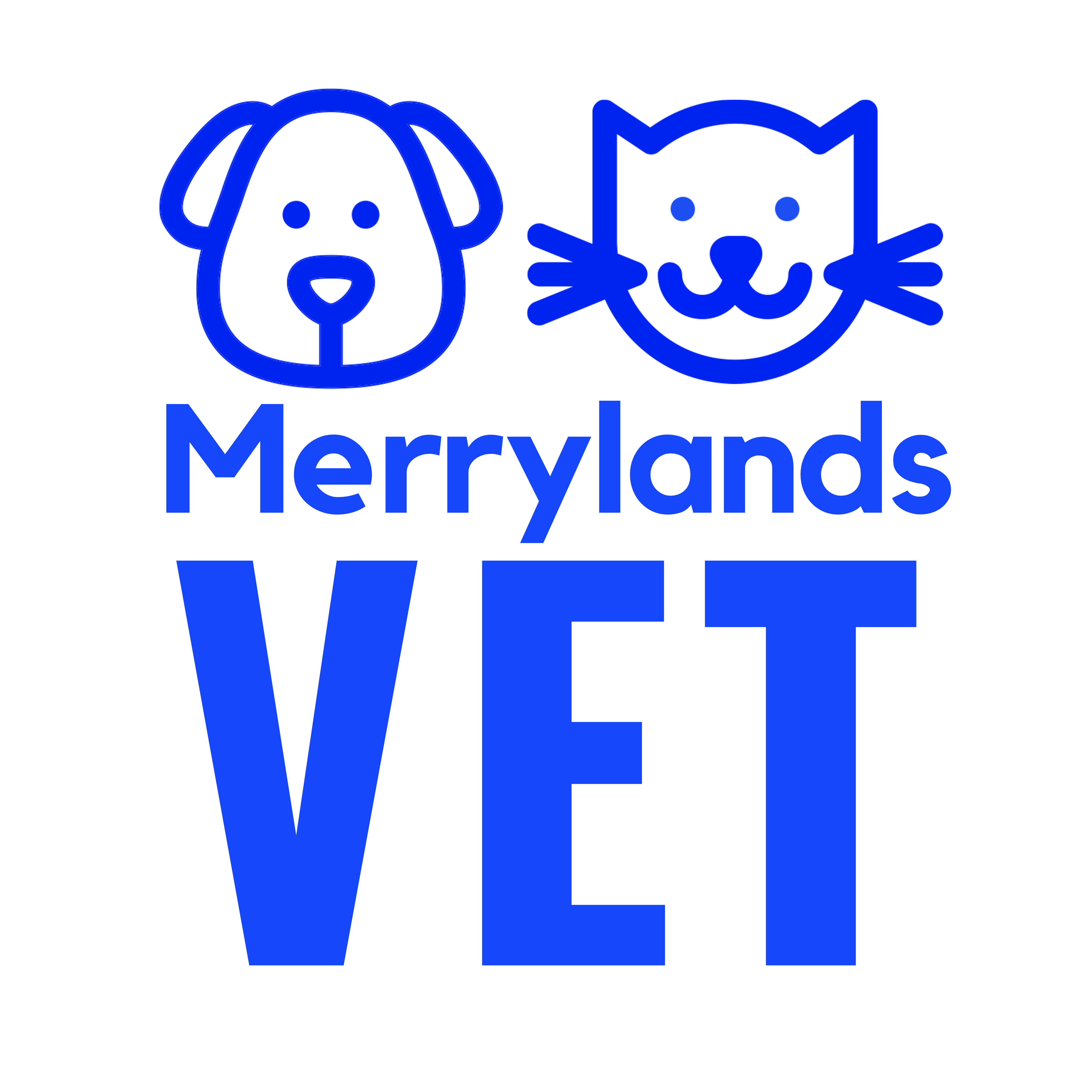 Merrylands Vet - Merrylands , Australia