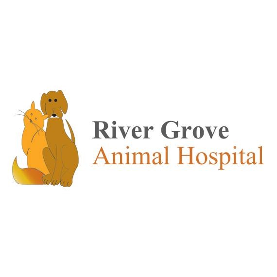 River Grove Animal Hospital - Mississauga , Canada
