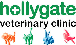 Hollygate Veterinary Clinic - Belfast , United Kingdom