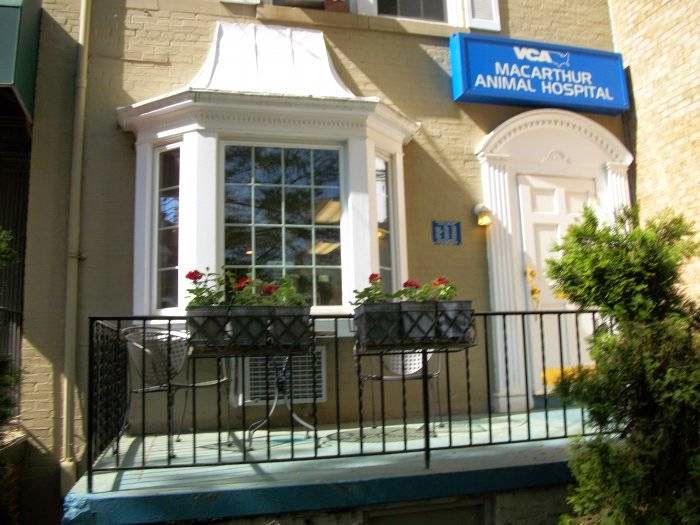 Vca Macarthur Animal Hospital - Washington , United States