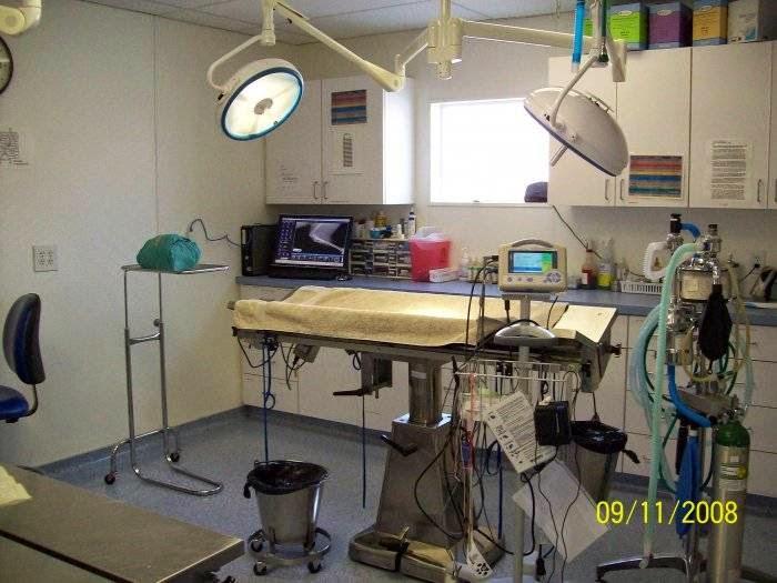 Vca Nellis Animal Hospital - Las Vegas , United States