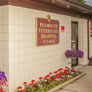 Plymouth Veterinary Hospital - Plymouth , United States