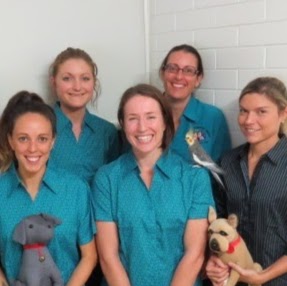 Moffat Beach Vets - Moffat Beach , Australia