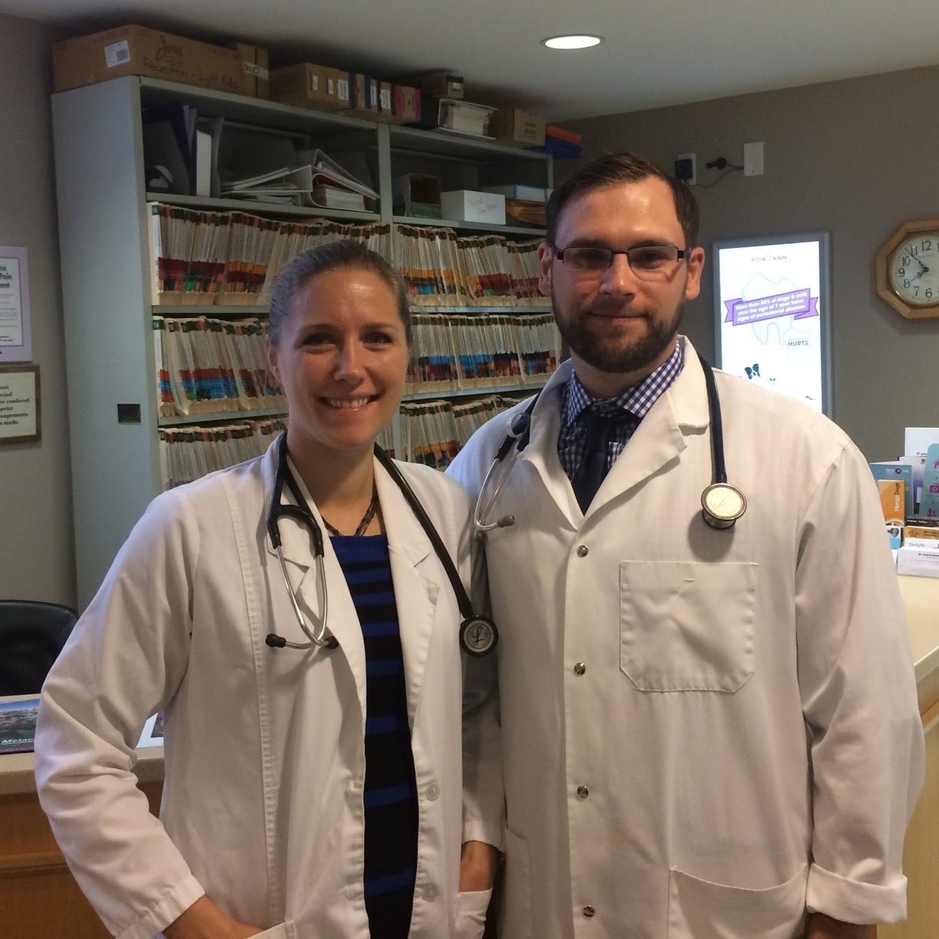 Sackville Animal Hospital - Lower Sackville , Canada
