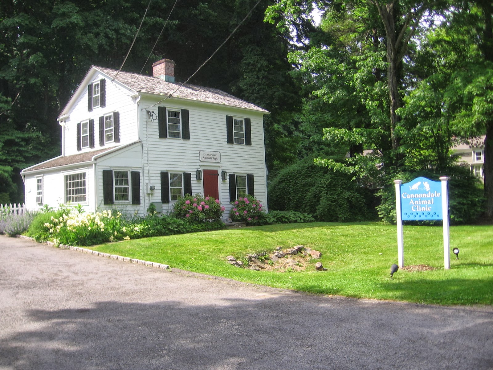 Cannondale Animal Clinic - Wilton , United States