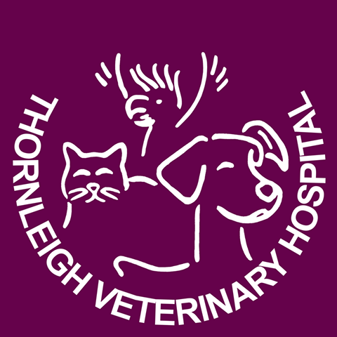 Thornleigh Veterinary Hospital - Thornleigh , Australia