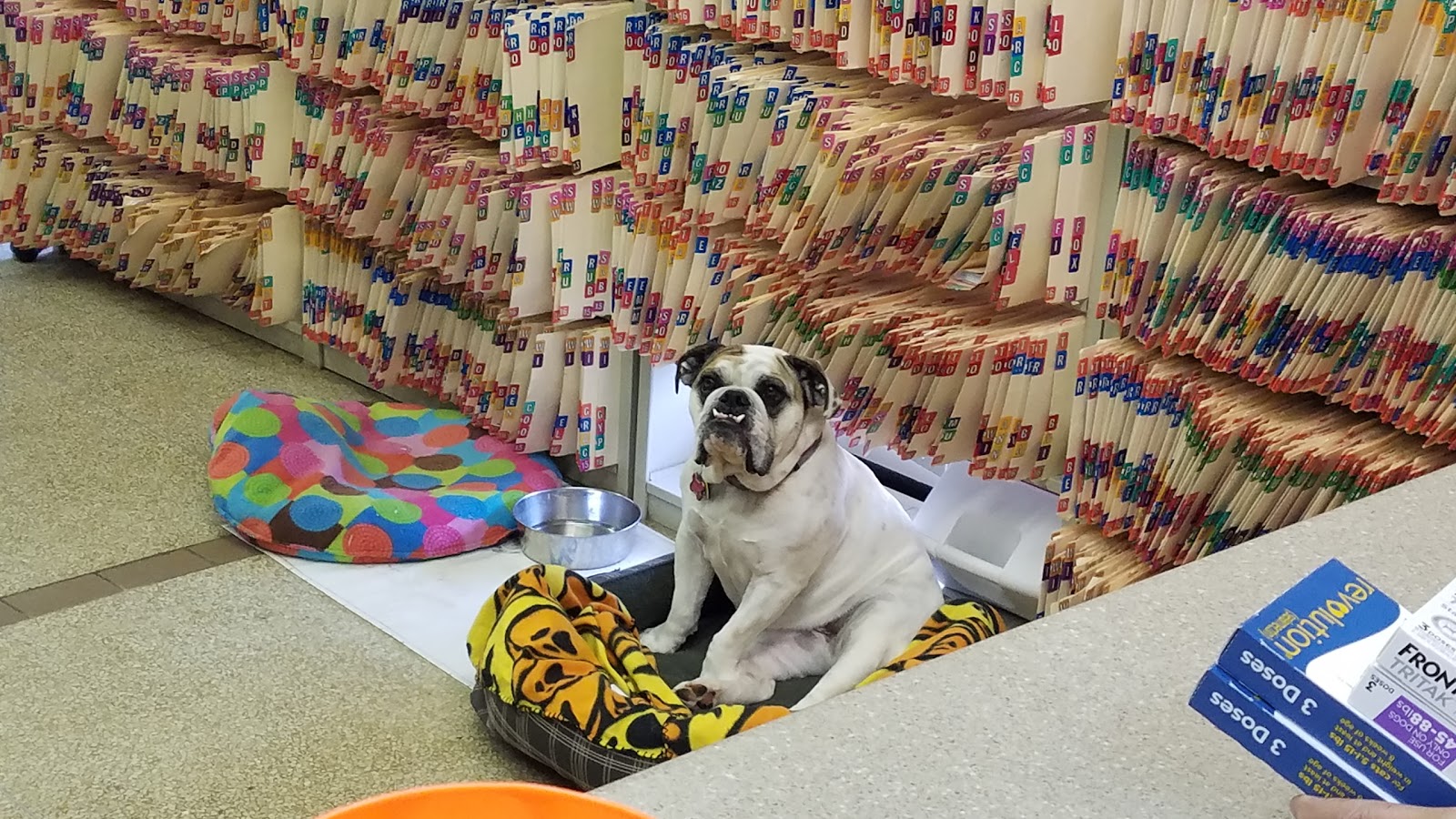Britton Road Veterinary Clinic - Oklahoma City , United States