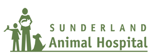 Sunderland Animal Hospital - Sunderland , United States