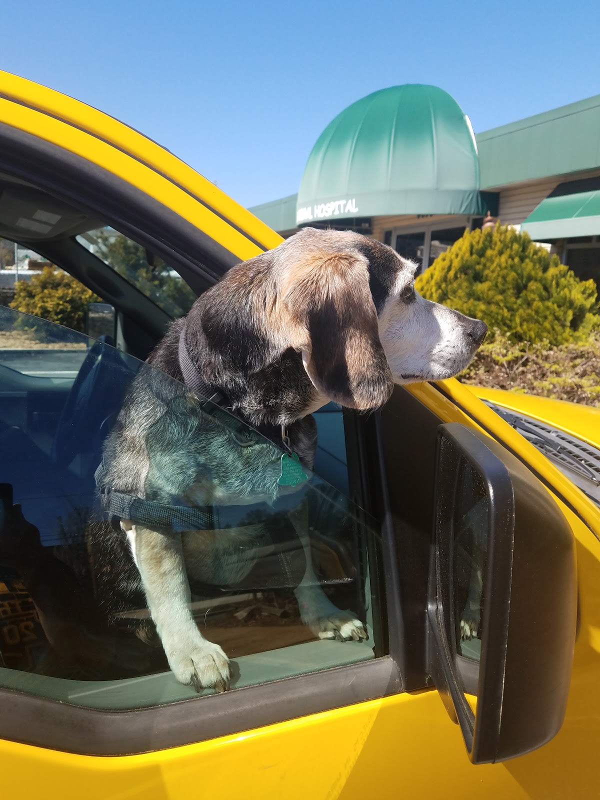 Dekalb Animal Hospital - Tucker , United States